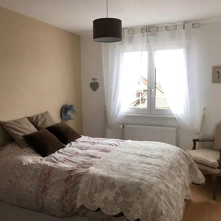 Apartament Au Pied Des Vosges