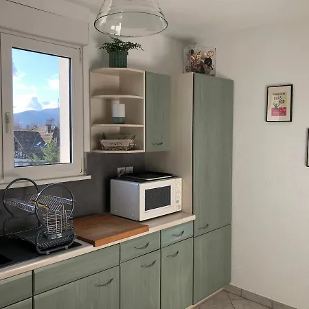 Apartment Au Pied Des Vosges *