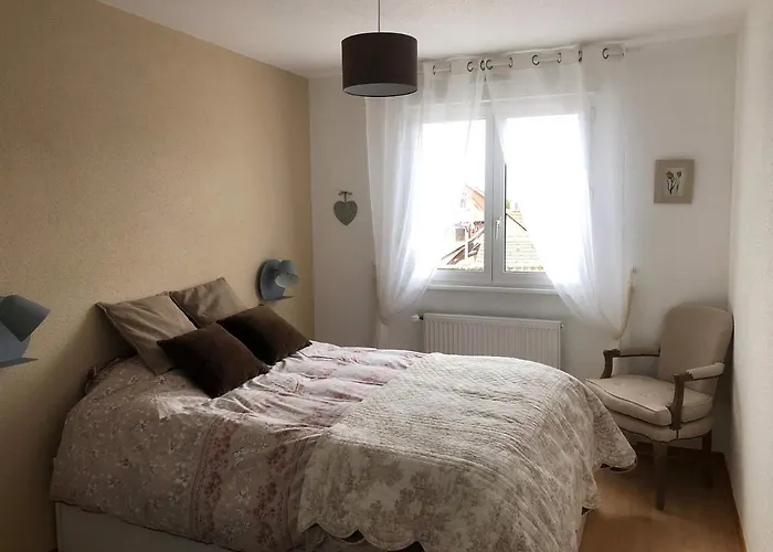 Appartement Au Pied Des Vosges