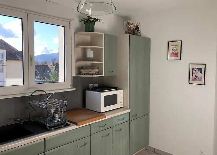 Appartement Au Pied Des Vosges *